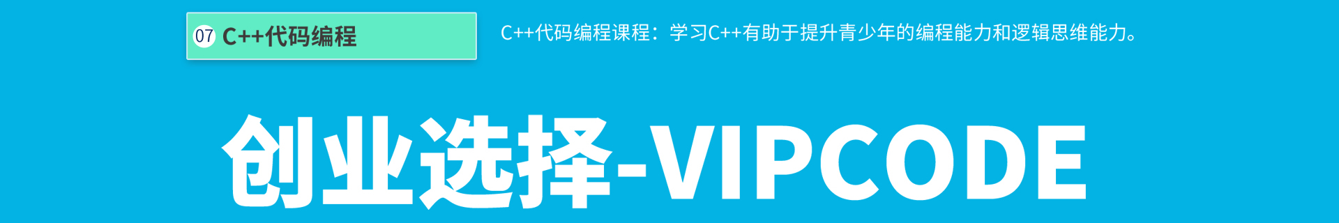 VIPCODE盛通教育